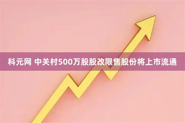 科元网 中关村500万股股改限售股份将上市流通