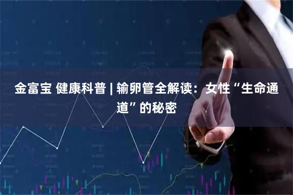 金富宝 健康科普 | 输卵管全解读：女性“生命通道”的秘密