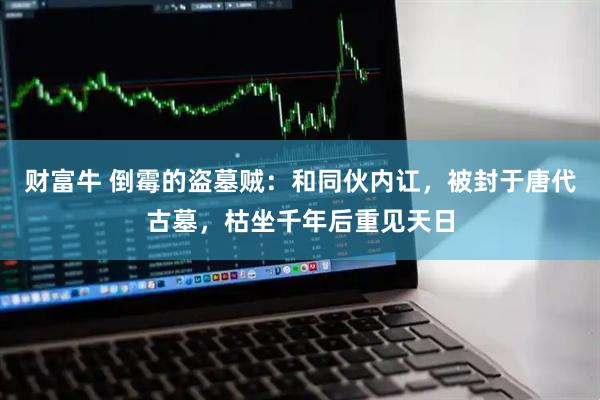 财富牛 倒霉的盗墓贼：和同伙内讧，被封于唐代古墓，枯坐千年后重见天日