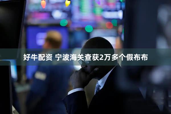 好牛配资 宁波海关查获2万多个假布布