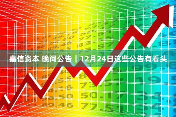 嘉信资本 晚间公告｜12月24日这些公告有看头